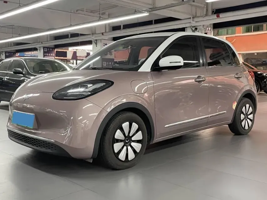 2023 WuLing BinGuo BEV 31.9KWH,autocango,china used car exporter,china ev exporter,chinese used car exporter,chinese used ev exporter