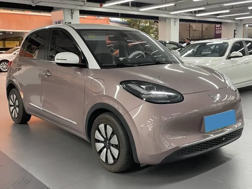 2023 WuLing BinGuo BEV 31.9KWH,autocango,china used car exporter,china ev exporter,chinese used car exporter,chinese used ev exporter