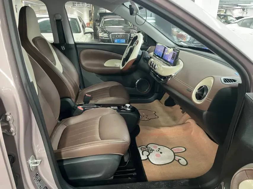 2023 WuLing BinGuo BEV 31.9KWH,autocango,china used car exporter,china ev exporter,chinese used car exporter,chinese used ev exporter