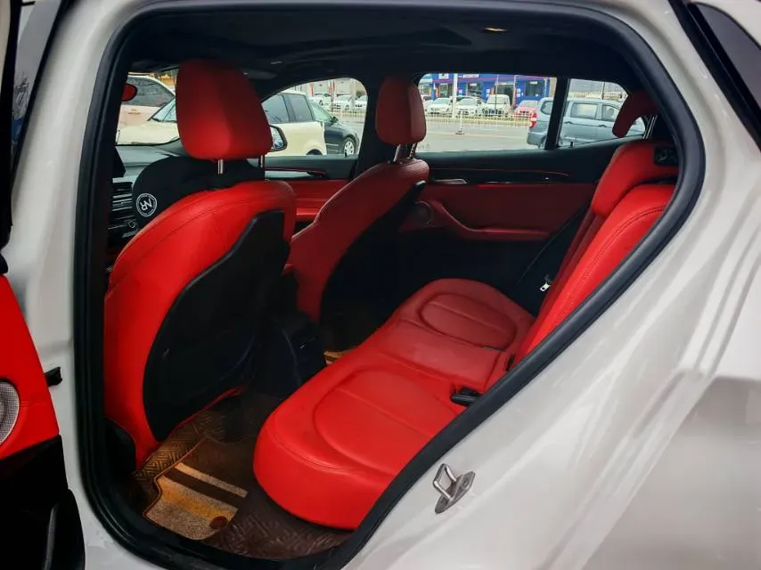 2021 BMW X2 2.0T 192HP L4 7DCT,autocango,china used car exporter,china ev exporter,chinese used car exporter,chinese used ev exporter