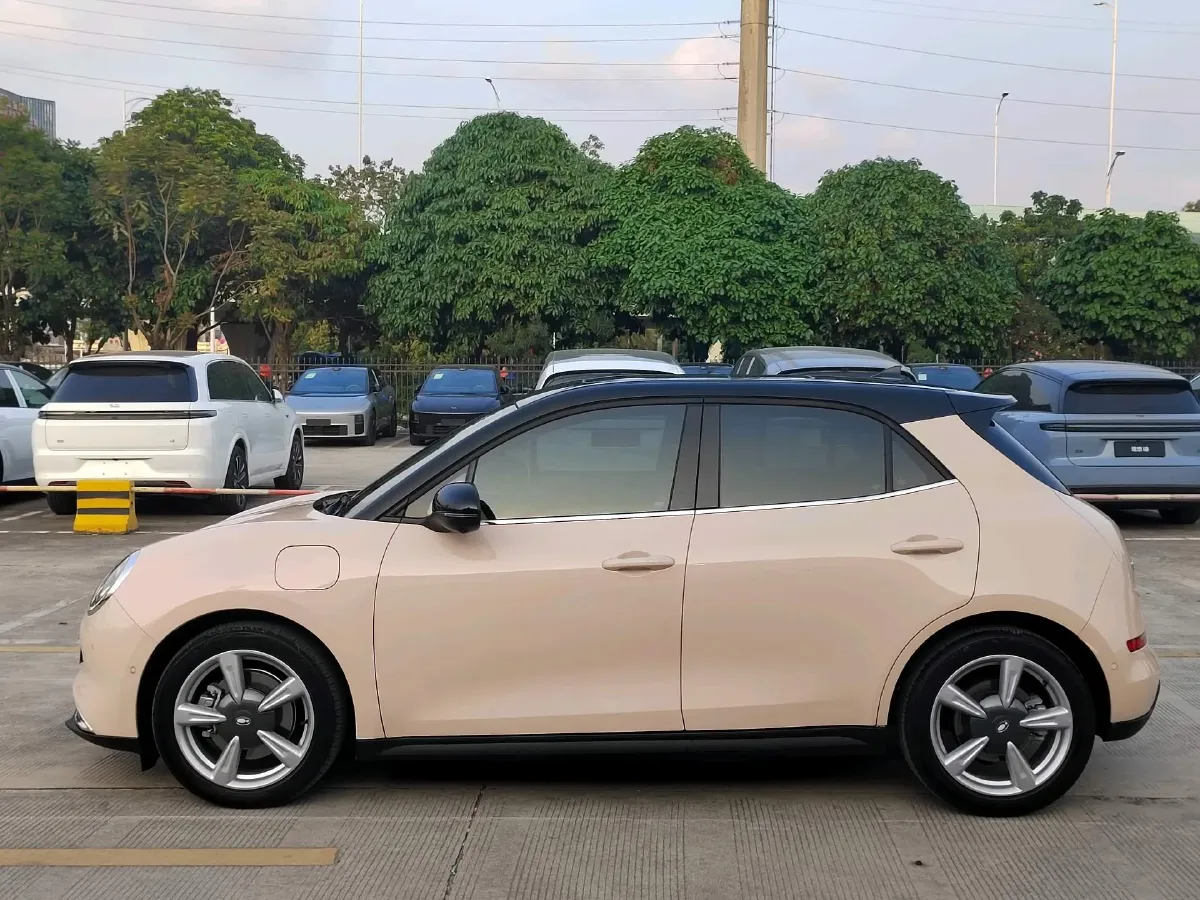 2021 Ora FunkyCat BEV 45.99KWH,autocango,china used car exporter,china ev exporter,chinese used car exporter,chinese used ev exporter