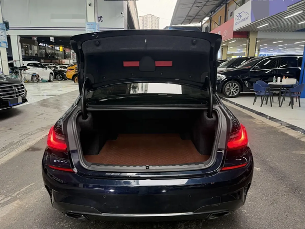 2020 BMW 3 Series 2.0T 184HP L4 8AT,autocango,china used car exporter,china ev exporter,chinese used car exporter,chinese used ev exporter