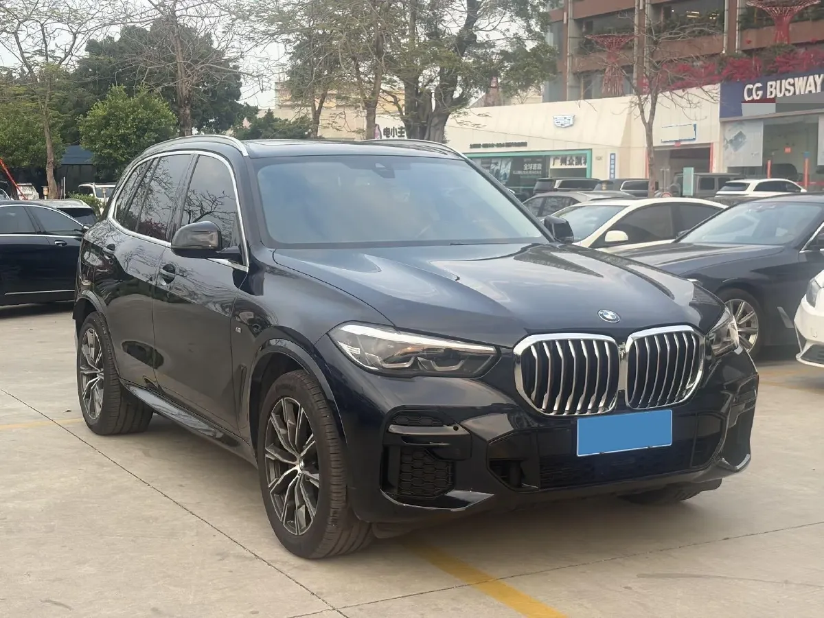2021 BMW X5 2.0T 265HP L4 8AT,autocango,china used car exporter,china ev exporter,chinese used car exporter,chinese used ev exporter