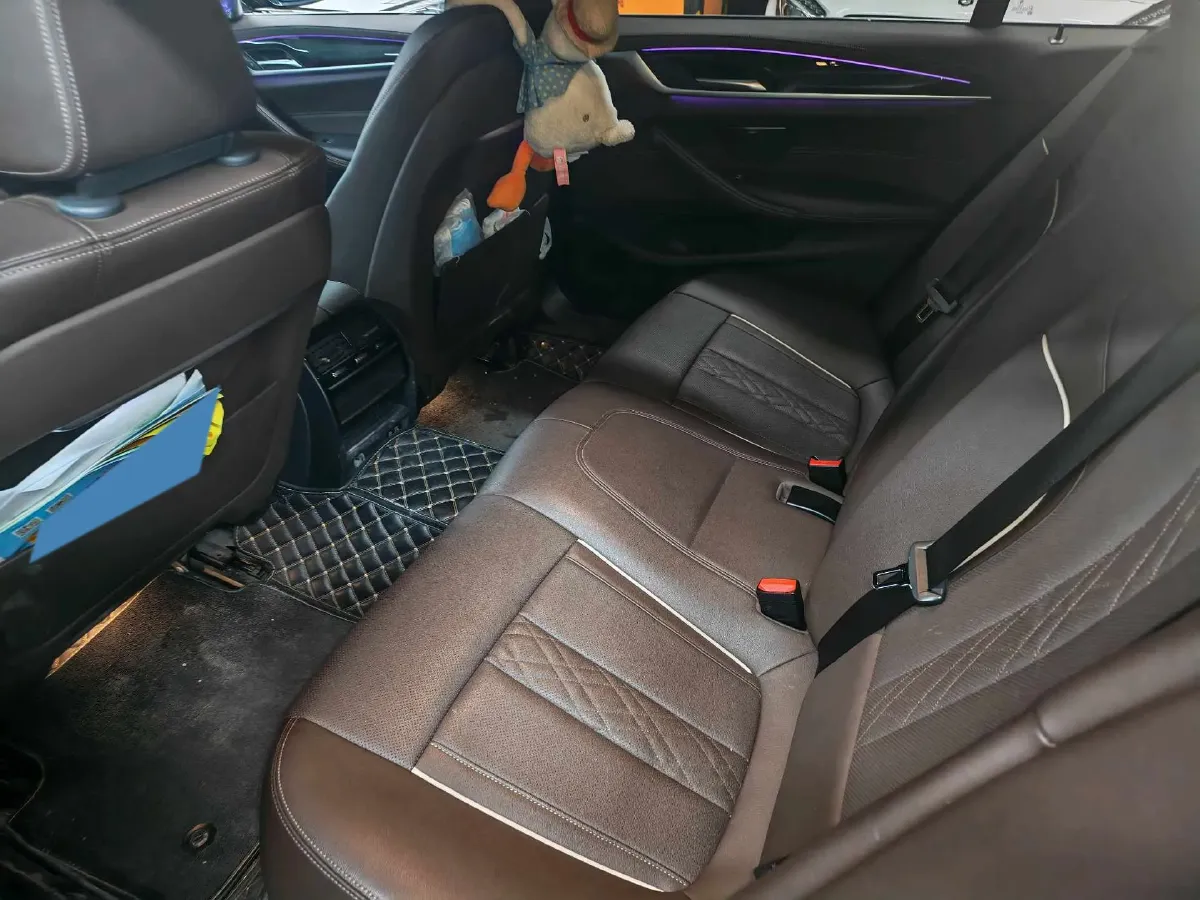 2021 BMW 5 Series 2.0T 184HP L4 8AT,autocango,china used car exporter,china ev exporter,chinese used car exporter,chinese used ev exporter