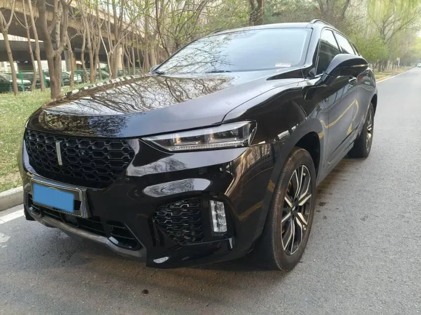 2019 WEY VV7 2.0T 227HP L4 7DCT,autocango,china used car exporter,china ev exporter,chinese used car exporter,chinese used ev exporter