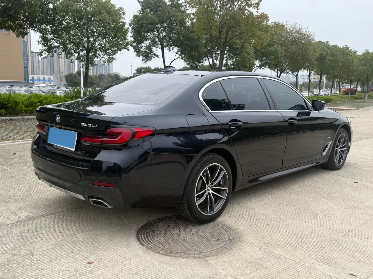 2022 BMW 5 Series 2.0T 184HP L4 8AT,autocango,china used car exporter,china ev exporter,chinese used car exporter,chinese used ev exporter