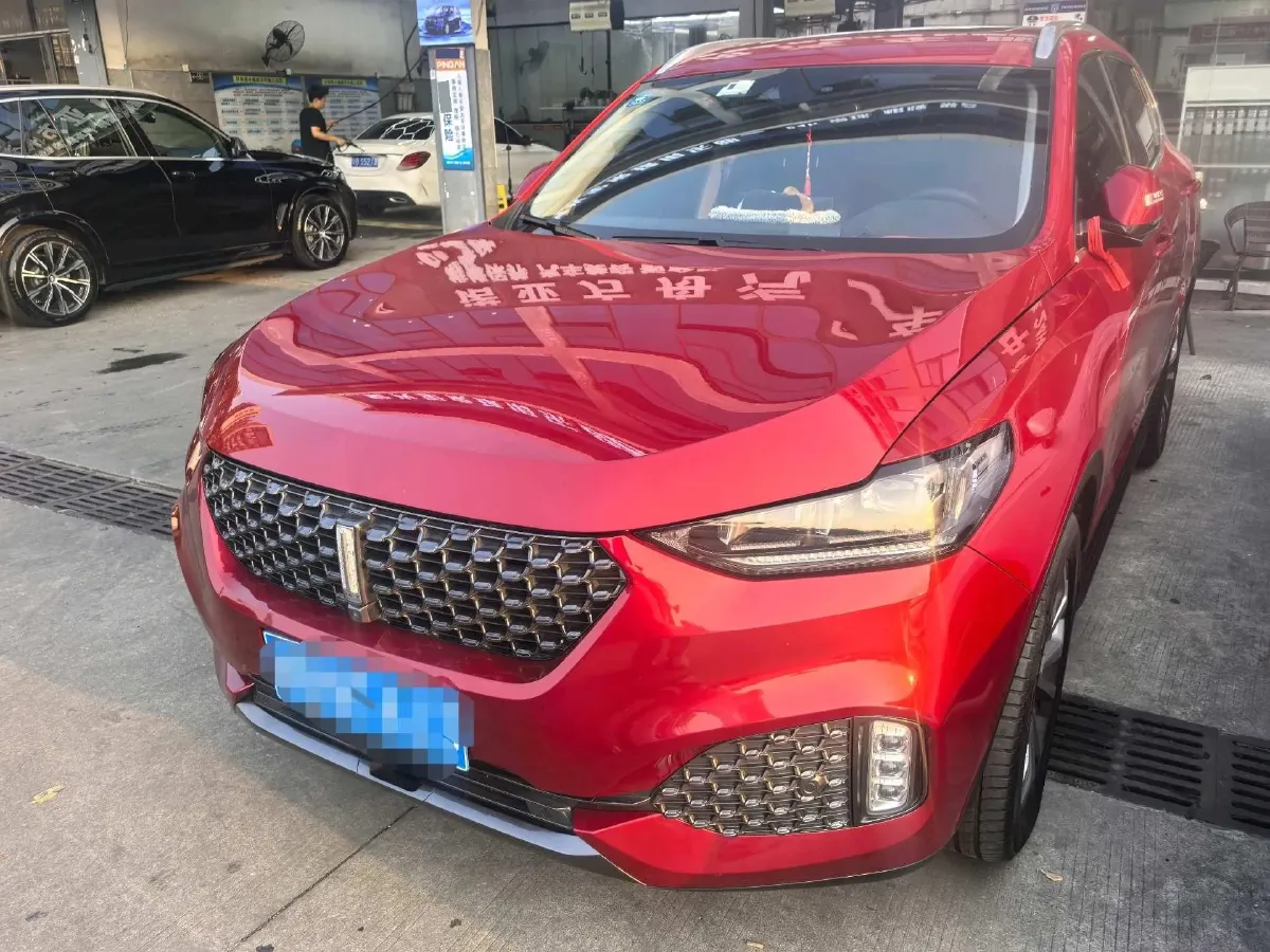 2020 WEY VV6 2.0T 227HP L4 7DCT,autocango,china used car exporter,china ev exporter,chinese used car exporter,chinese used ev exporter