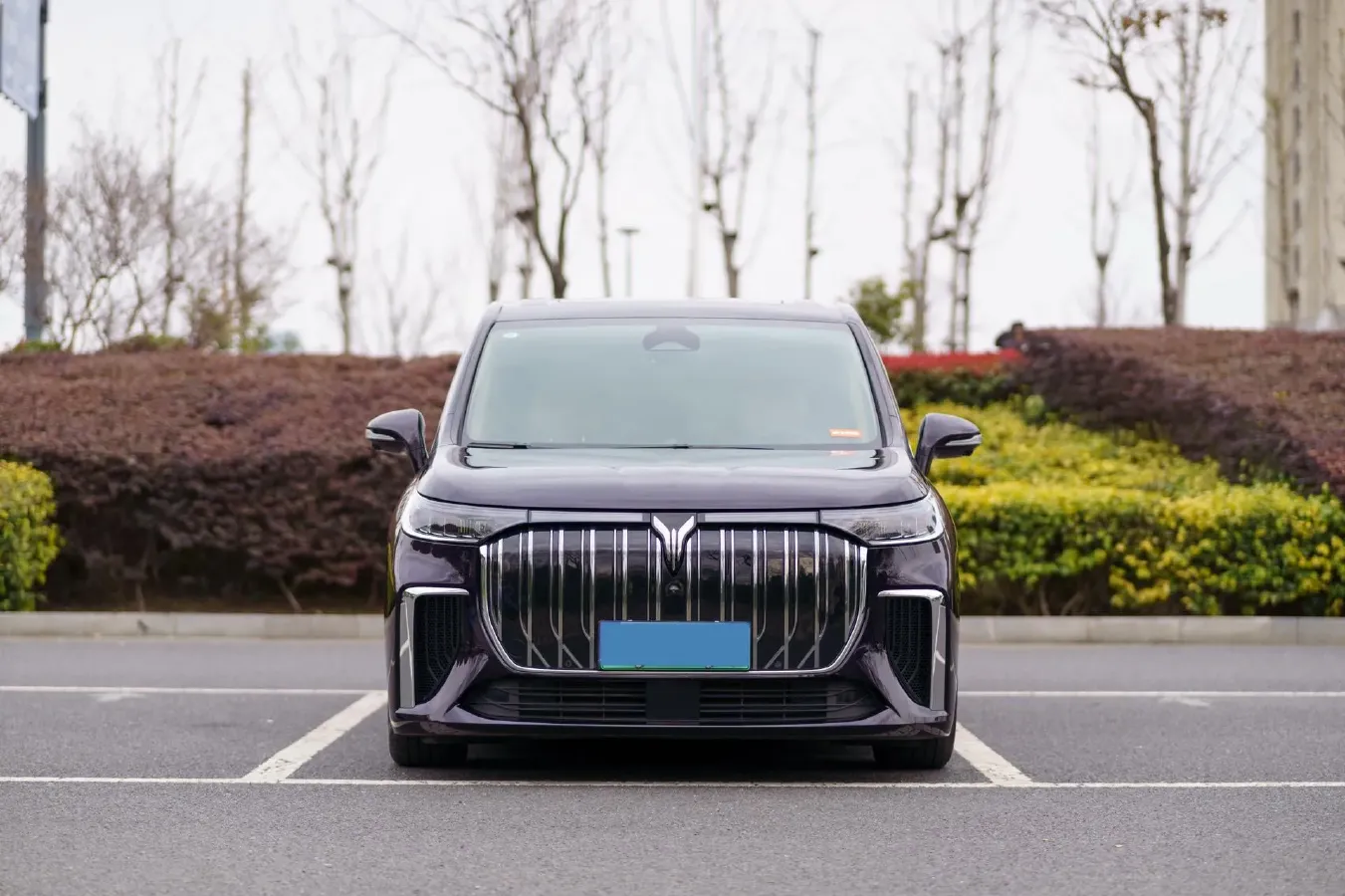 2024 Voyah Dream BEV 108.73KWH,autocango,china used car exporter,china ev exporter,chinese used car exporter,chinese used ev exporter