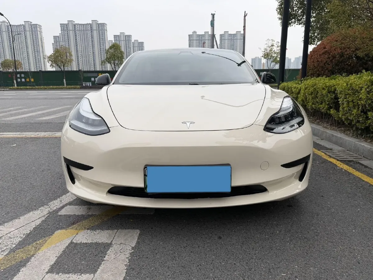 2020 Tesla Model 3 BEV 52KWH,autocango,china used car exporter,china ev exporter,chinese used car exporter,chinese used ev exporter