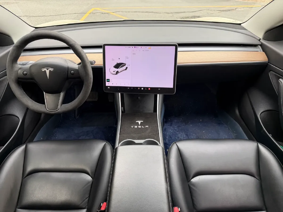 2020 Tesla Model 3 BEV 52KWH,autocango,china used car exporter,china ev exporter,chinese used car exporter,chinese used ev exporter