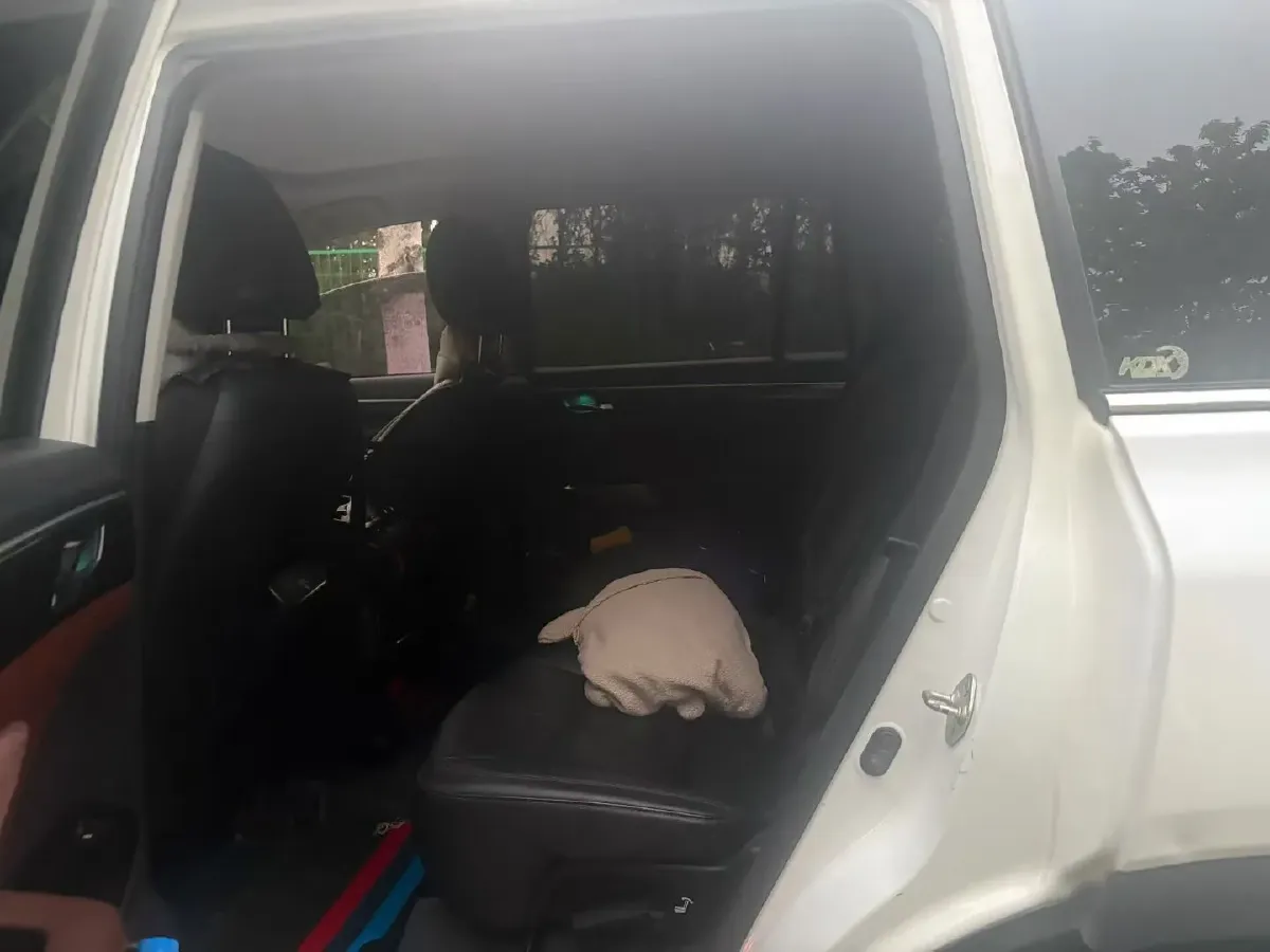 2017 GAC Trumpchi GS8 2.0T 201HP L4 6AT,autocango,china used car exporter,china ev exporter,chinese used car exporter,chinese used ev exporter