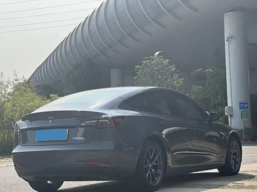 2021 Tesla Model 3 BEV 55KWH,autocango,china used car exporter,china ev exporter,chinese used car exporter,chinese used ev exporter