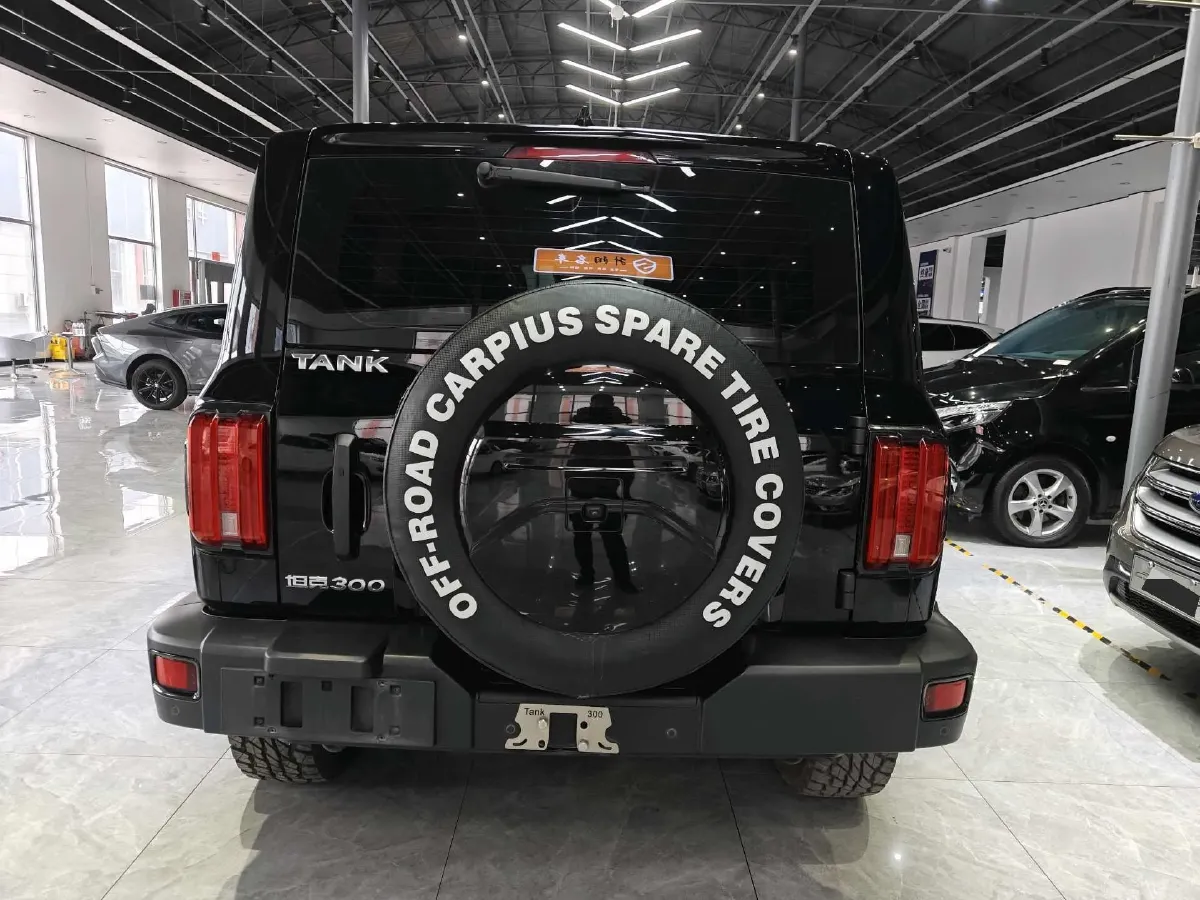 2023 Tank 300 2.0T 227HP L4 8AT,autocango,china used car exporter,china ev exporter,chinese used car exporter,chinese used ev exporter