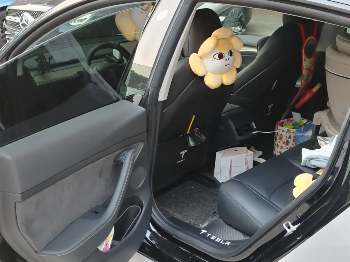 2021 Tesla Model 3 BEV 55KWH,autocango,china used car exporter,china ev exporter,chinese used car exporter,chinese used ev exporter