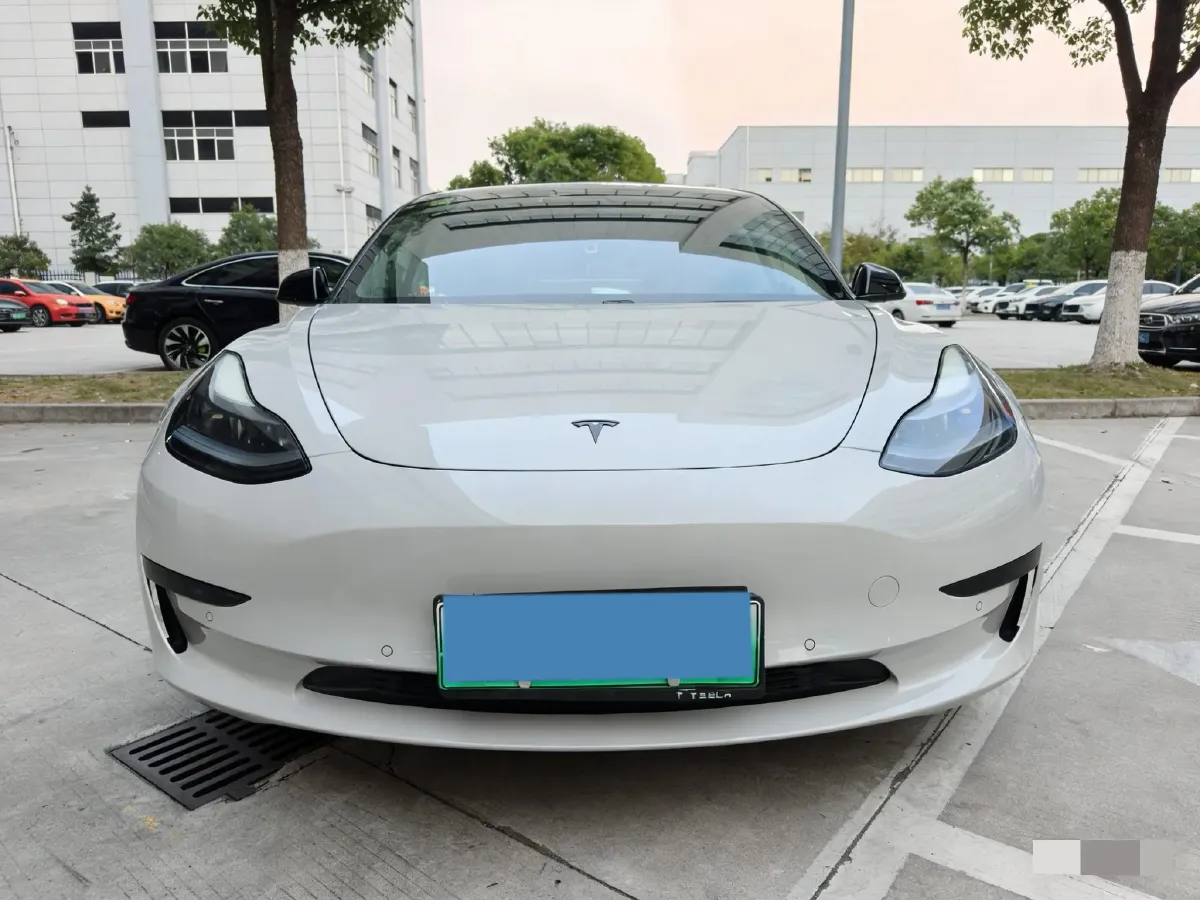 2021 Tesla Model 3 BEV 55KWH,autocango,china used car exporter,china ev exporter,chinese used car exporter,chinese used ev exporter