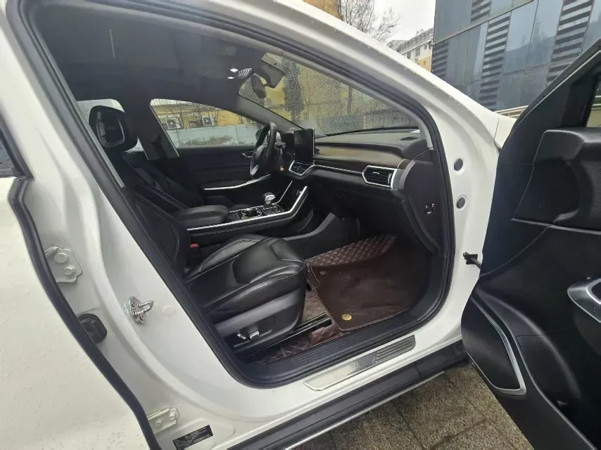 2019 HongQi E-HS3 BEV 52.5KWH,autocango,china used car exporter,china ev exporter,chinese used car exporter,chinese used ev exporter