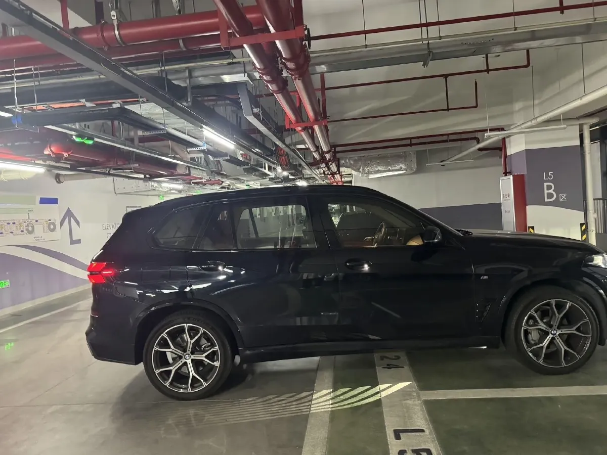 2025 BMW X5 2.0T 258HP L4 8AT,autocango,china used car exporter,china ev exporter,chinese used car exporter,chinese used ev exporter