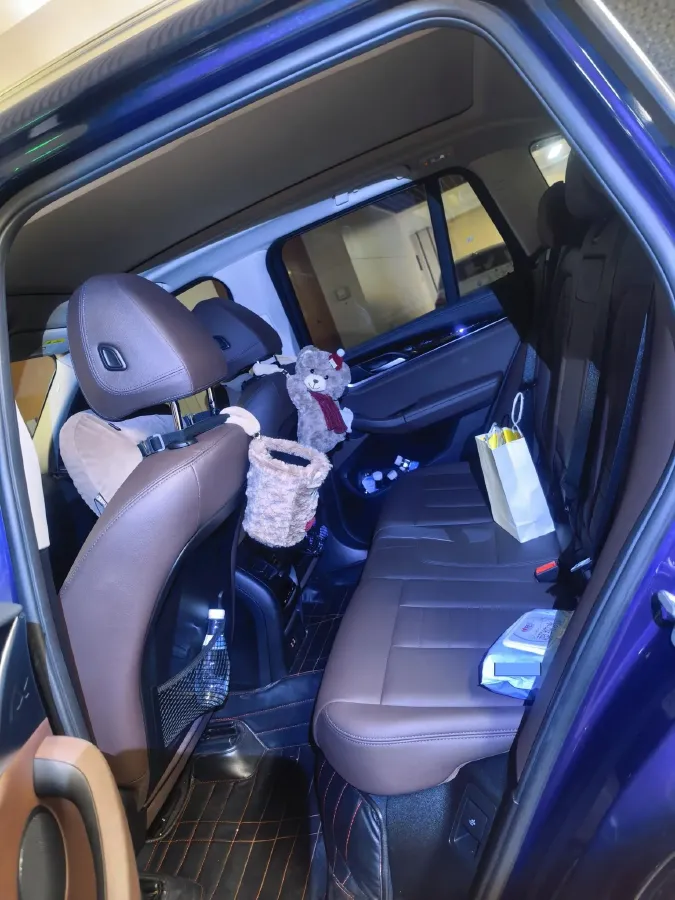 2020 BMW X3 2.0T 184HP L4 8AT,autocango,china used car exporter,china ev exporter,chinese used car exporter,chinese used ev exporter