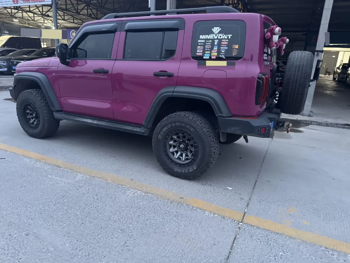 2023 Tank 300 2.0T 227HP L4 8AT,autocango,china used car exporter,china ev exporter,chinese used car exporter,chinese used ev exporter