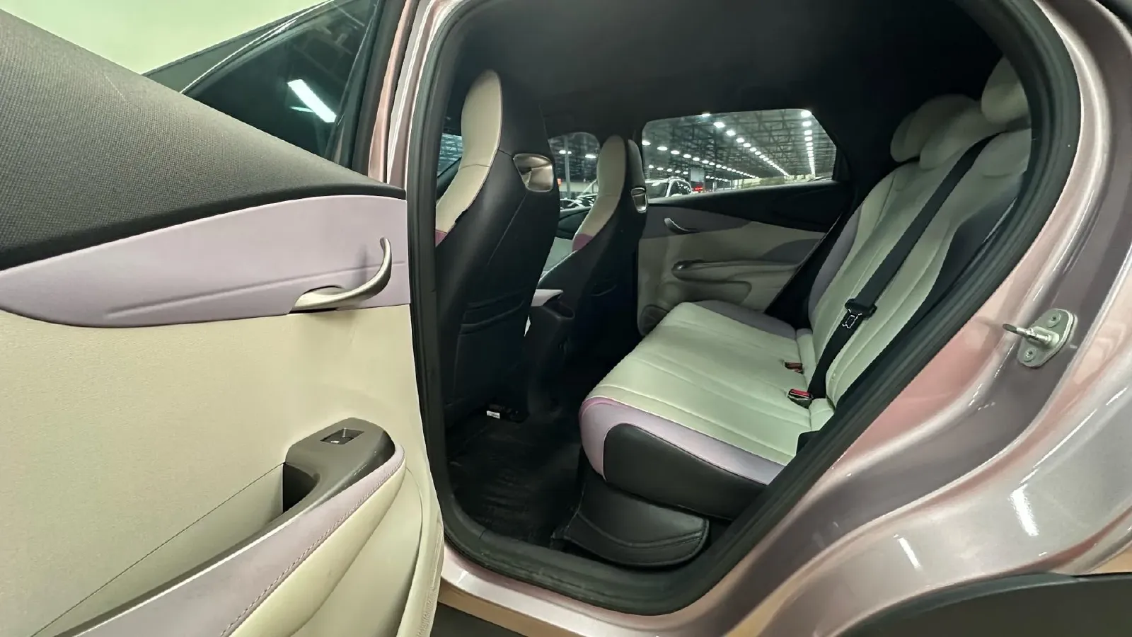 2023 BYD Dolphin BEV 44.928KWH,autocango,china used car exporter,china ev exporter,chinese used car exporter,chinese used ev exporter