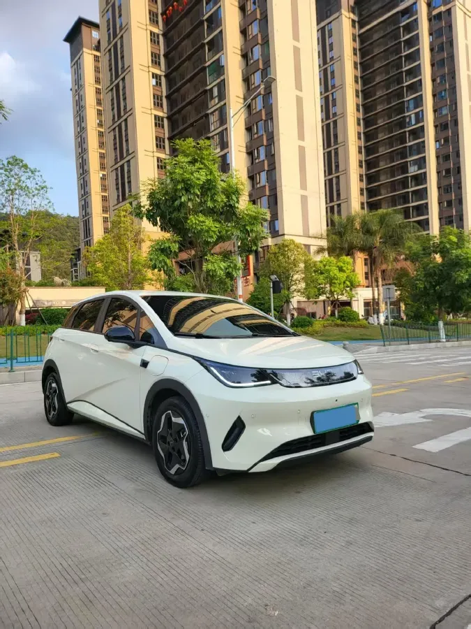 2025 BYD Dolphin BEV 45.12KWH,autocango,china used car exporter,china ev exporter,chinese used car exporter,chinese used ev exporter