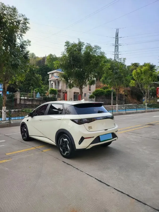 2025 BYD Dolphin BEV 45.12KWH,autocango,china used car exporter,china ev exporter,chinese used car exporter,chinese used ev exporter