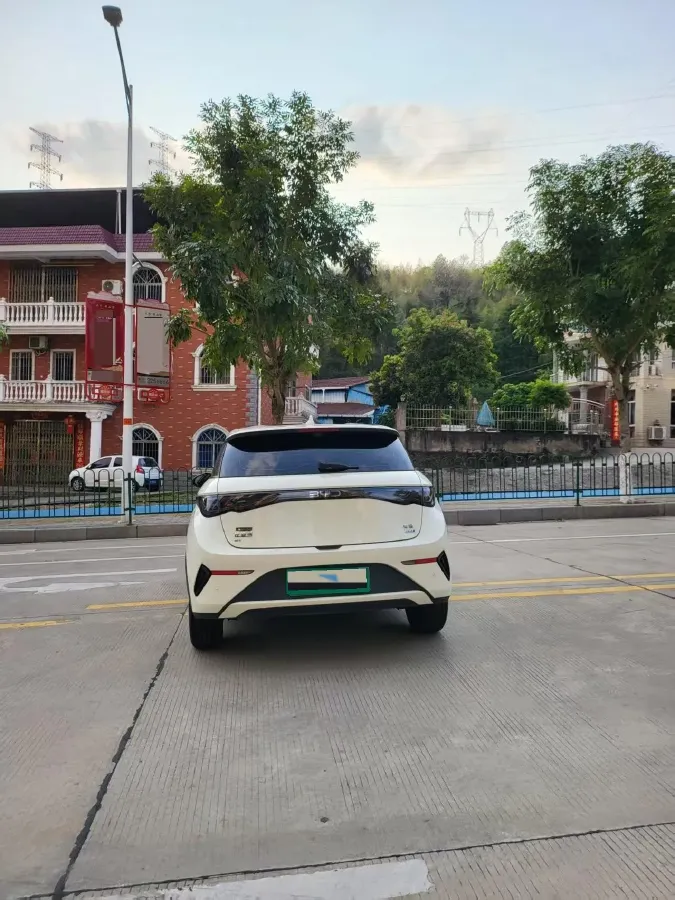 2025 BYD Dolphin BEV 45.12KWH,autocango,china used car exporter,china ev exporter,chinese used car exporter,chinese used ev exporter