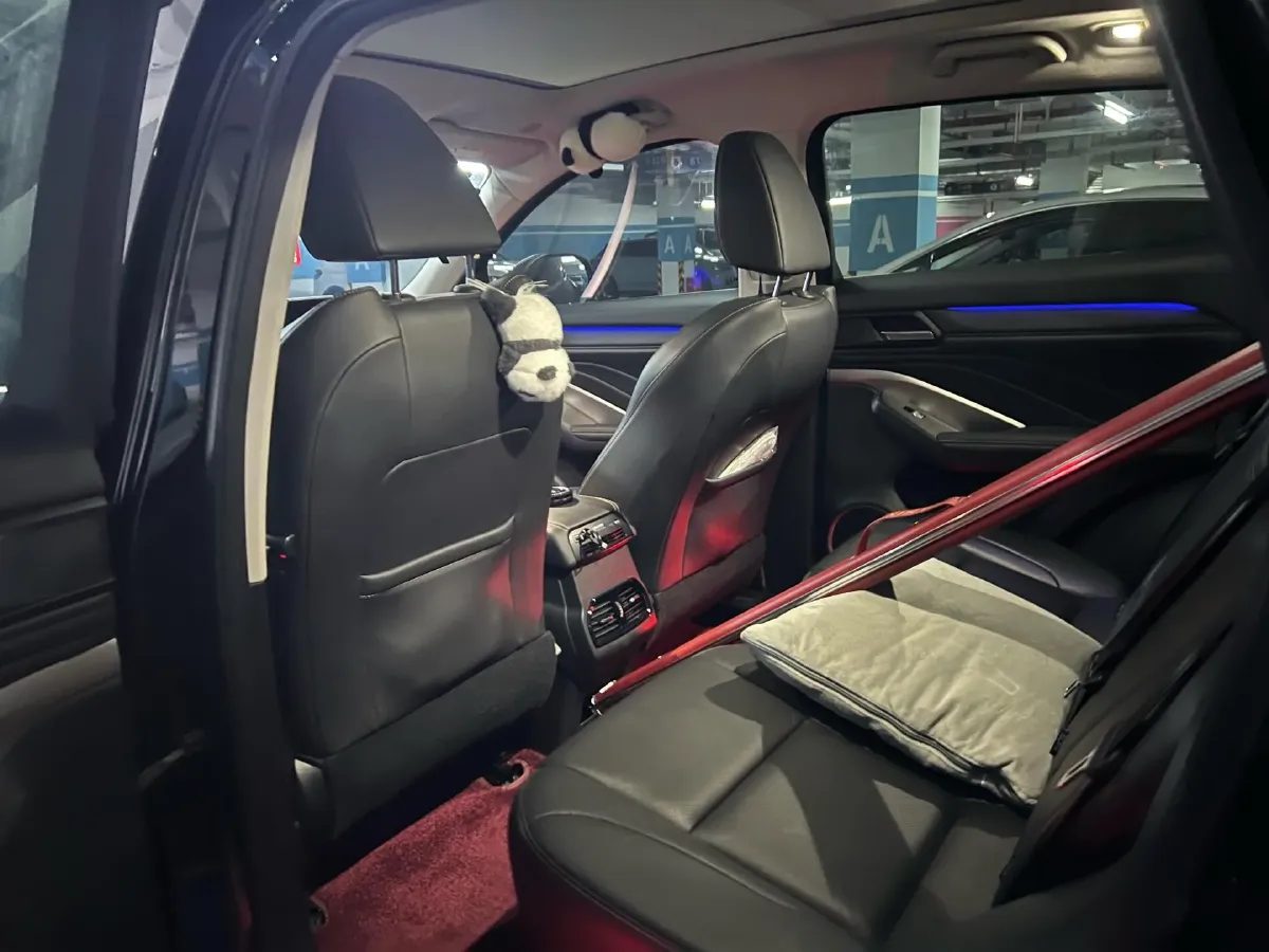 2021 WEY VV6 2.0T 227HP L4 7DCT,autocango,china used car exporter,china ev exporter,chinese used car exporter,chinese used ev exporter