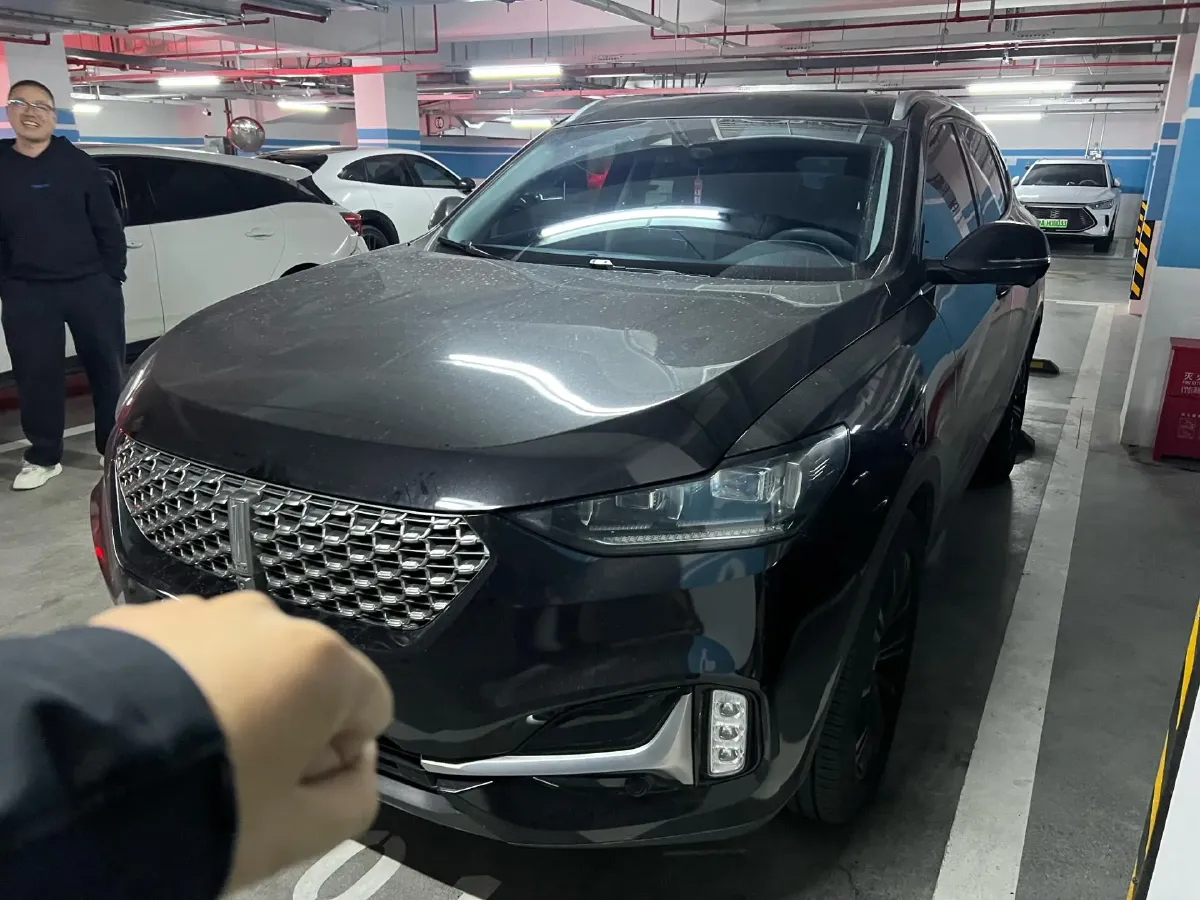 2021 WEY VV6 2.0T 227HP L4 7DCT,autocango,china used car exporter,china ev exporter,chinese used car exporter,chinese used ev exporter
