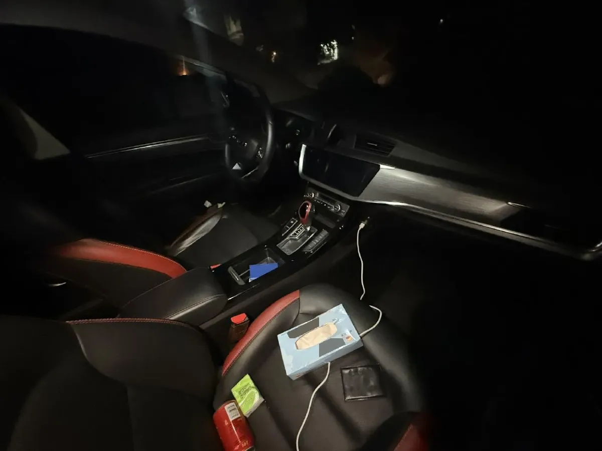 2020 Geely Emgrand GS 1.4T 141HP L4 CVT,autocango,china used car exporter,china ev exporter,chinese used car exporter,chinese used ev exporter