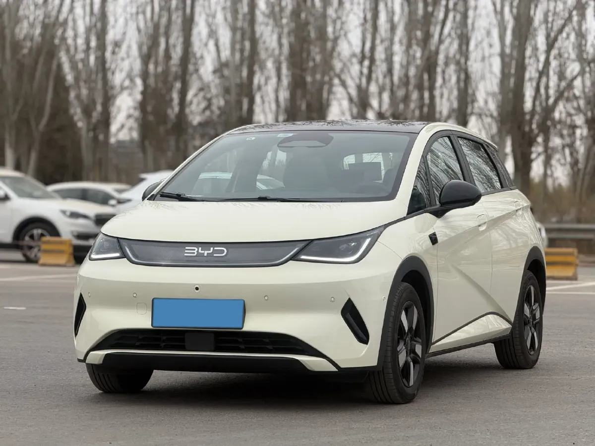 2025 BYD Dolphin BEV 45.12KWH,autocango,china used car exporter,china ev exporter,chinese used car exporter,chinese used ev exporter