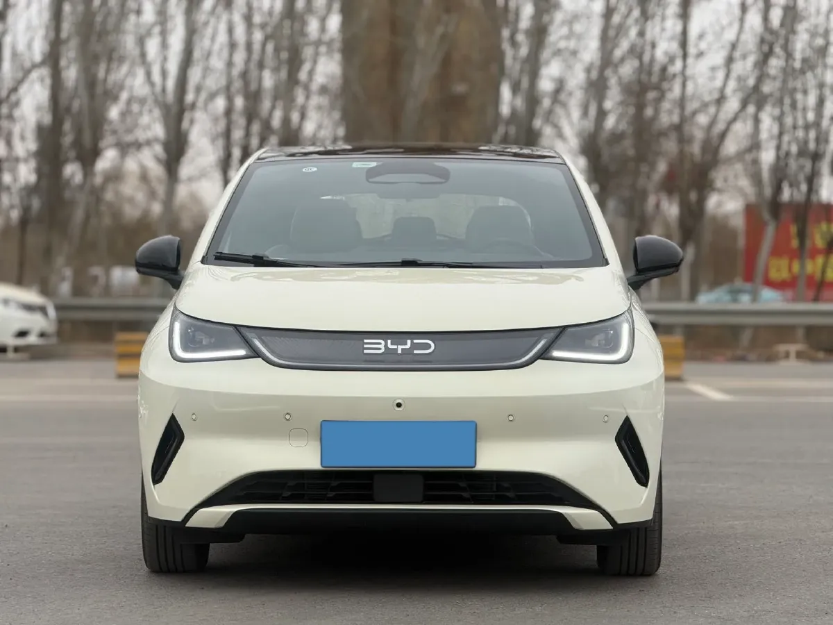 2025 BYD Dolphin BEV 45.12KWH,autocango,china used car exporter,china ev exporter,chinese used car exporter,chinese used ev exporter