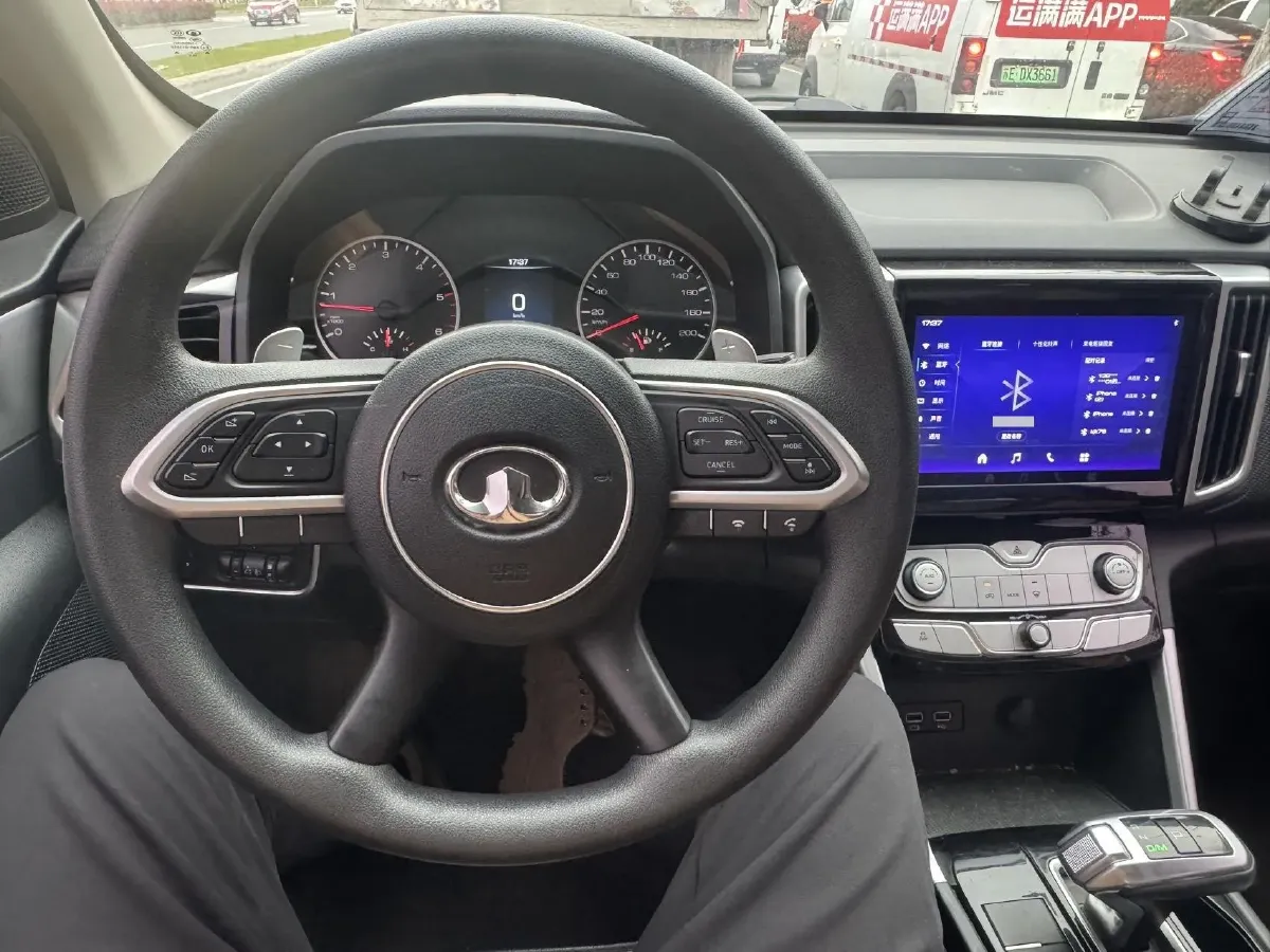 2021 Great Wall Poer 2.0T 163HP L4 8AT,autocango,china used car exporter,china ev exporter,chinese used car exporter,chinese used ev exporter