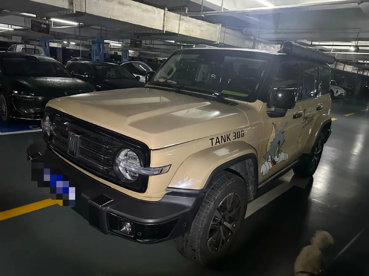 2021 Tank 300 2.0T 227HP L4 8AT,autocango,china used car exporter,china ev exporter,chinese used car exporter,chinese used ev exporter