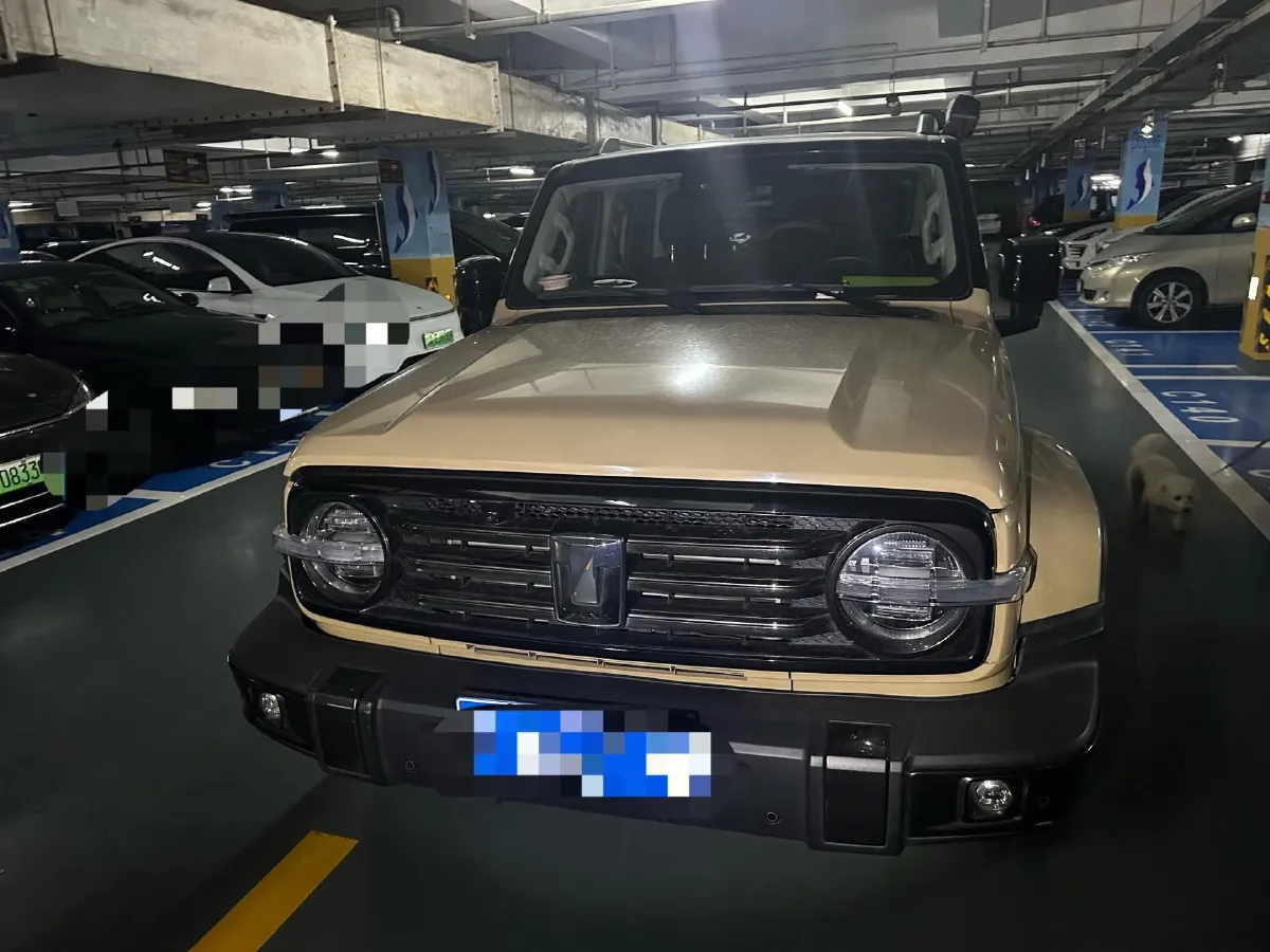 2021 Tank 300 2.0T 227HP L4 8AT,autocango,china used car exporter,china ev exporter,chinese used car exporter,chinese used ev exporter