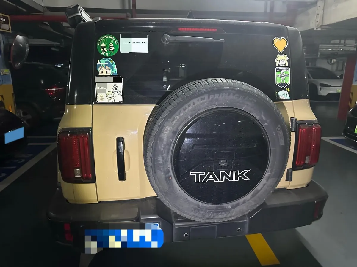 2021 Tank 300 2.0T 227HP L4 8AT,autocango,china used car exporter,china ev exporter,chinese used car exporter,chinese used ev exporter