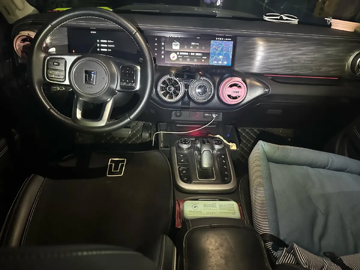 2021 Tank 300 2.0T 227HP L4 8AT,autocango,china used car exporter,china ev exporter,chinese used car exporter,chinese used ev exporter