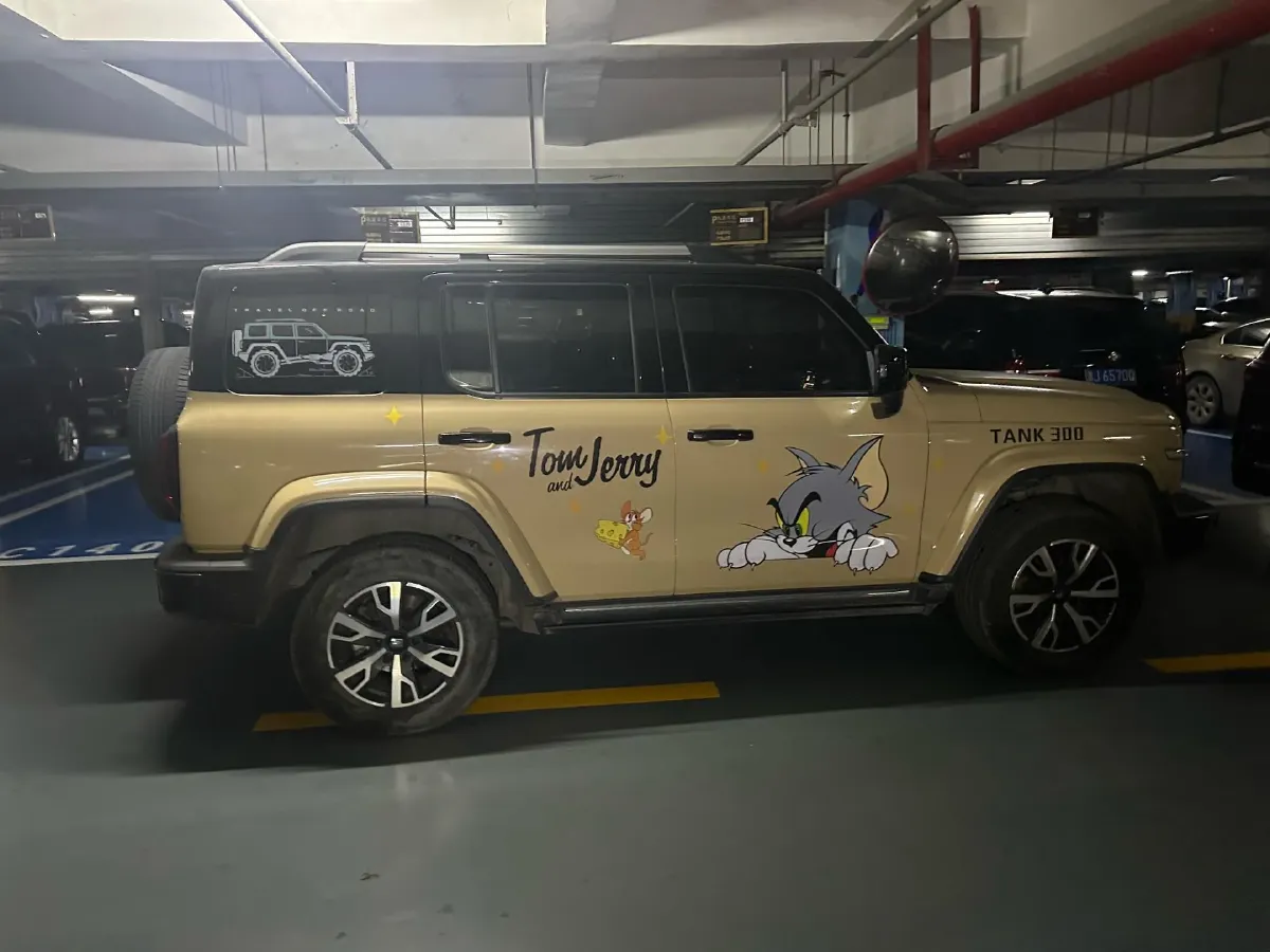 2021 Tank 300 2.0T 227HP L4 8AT,autocango,china used car exporter,china ev exporter,chinese used car exporter,chinese used ev exporter