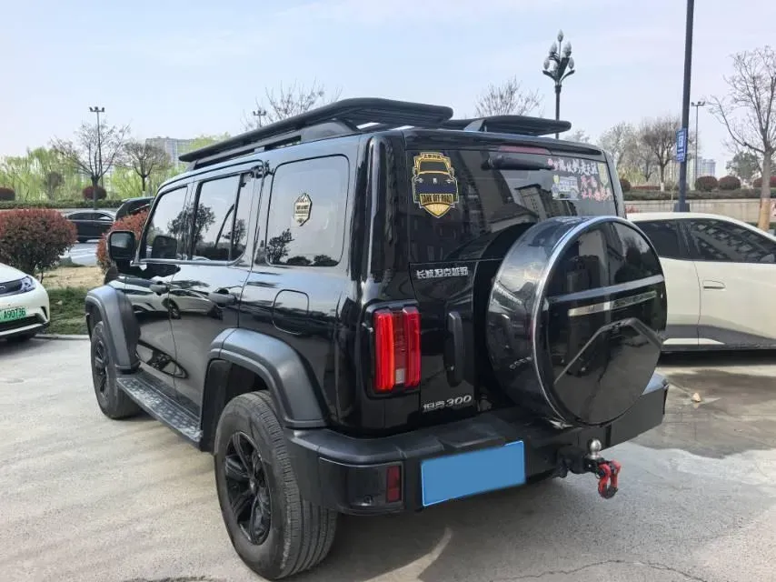 2024 Tank 300 2.0T 227HP L4 8AT,autocango,china used car exporter,china ev exporter,chinese used car exporter,chinese used ev exporter
