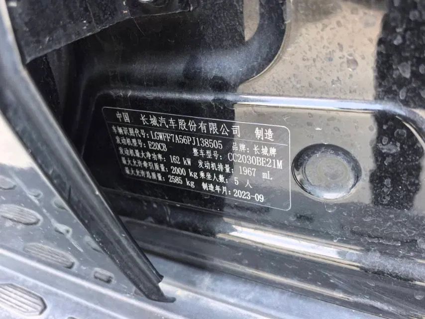 2024 Tank 300 2.0T 227HP L4 8AT,autocango,china used car exporter,china ev exporter,chinese used car exporter,chinese used ev exporter