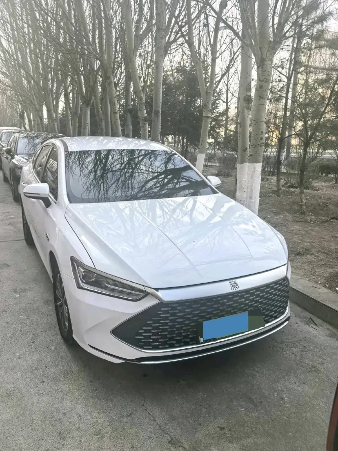 2024 BYD Qin Plus 1.5L 110HP L4 E-CVT PHEV 8.32KWH,autocango,china used car exporter,china ev exporter,chinese used car exporter,chinese used ev exporter