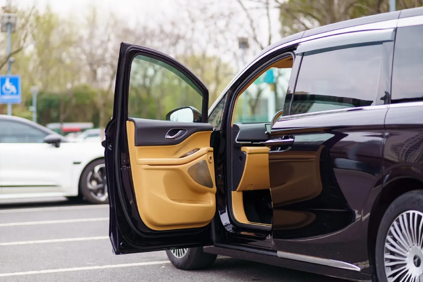 2025 Voyah Dream 1.5T 150HP L4 PHEV 41.7KWH,autocango,china used car exporter,china ev exporter,chinese used car exporter,chinese used ev exporter