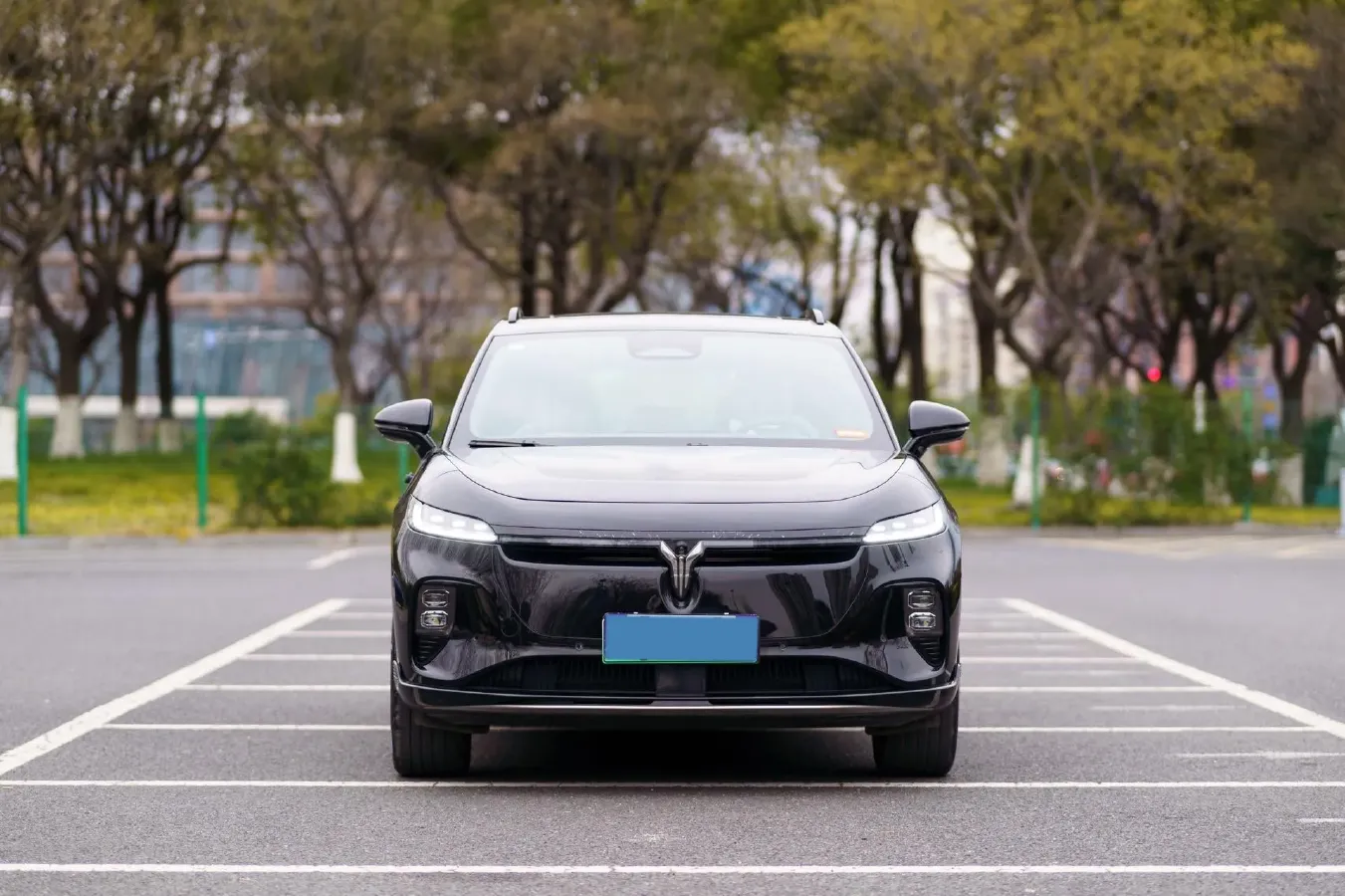 2024 Voyah ZhiYin BEV 79KWH,autocango,china used car exporter,china ev exporter,chinese used car exporter,chinese used ev exporter