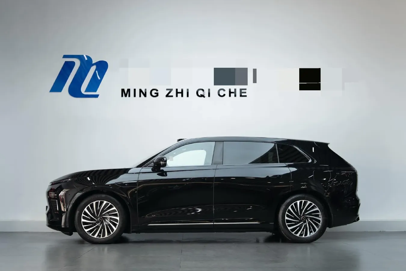 2025 Exceed Sterra ES BEV,autocango,china used car exporter,china ev exporter,chinese used car exporter,chinese used ev exporter