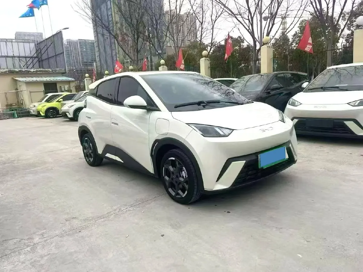 2024 BYD Seagull BEV 30.08KWH,autocango,china used car exporter,china ev exporter,chinese used car exporter,chinese used ev exporter