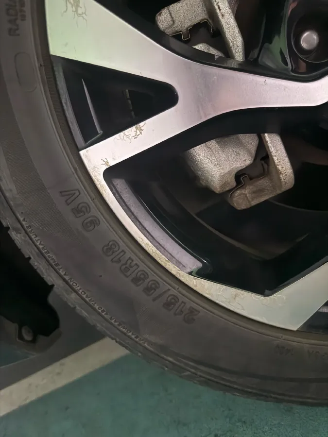 2020 HaiMa 7X 1.6T 195HP L4 6AT,autocango,china used car exporter,china ev exporter,chinese used car exporter,chinese used ev exporter