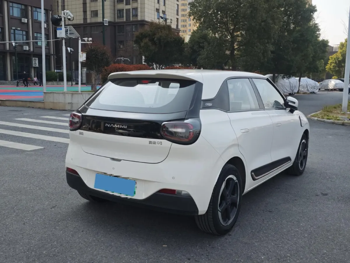 2024 DongFeng Nammi 01 BEV 42.3KWH,autocango,china used car exporter,china ev exporter,chinese used car exporter,chinese used ev exporter