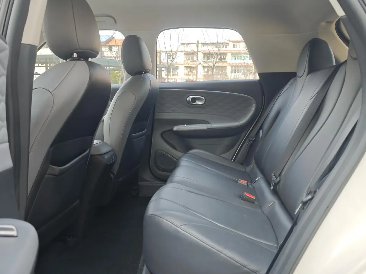 2024 DongFeng Nammi 01 BEV 42.3KWH,autocango,china used car exporter,china ev exporter,chinese used car exporter,chinese used ev exporter