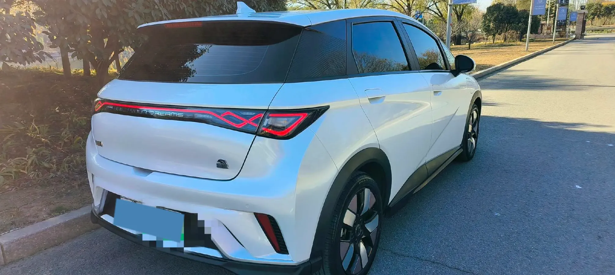 2023 BYD Dolphin BEV 44.928KWH,autocango,china used car exporter,china ev exporter,chinese used car exporter,chinese used ev exporter