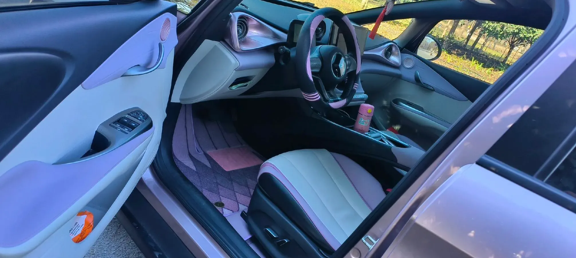 2023 BYD Dolphin BEV 44.928KWH,autocango,china used car exporter,china ev exporter,chinese used car exporter,chinese used ev exporter